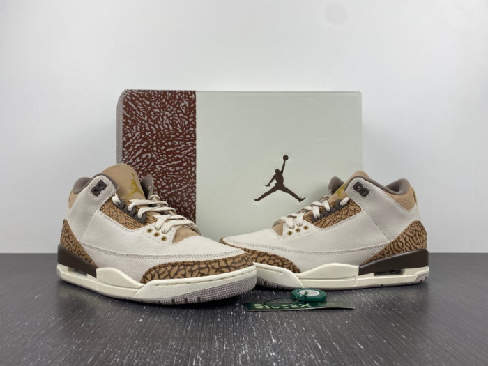 Air Jordan 3 “Palomino” CT8532-102